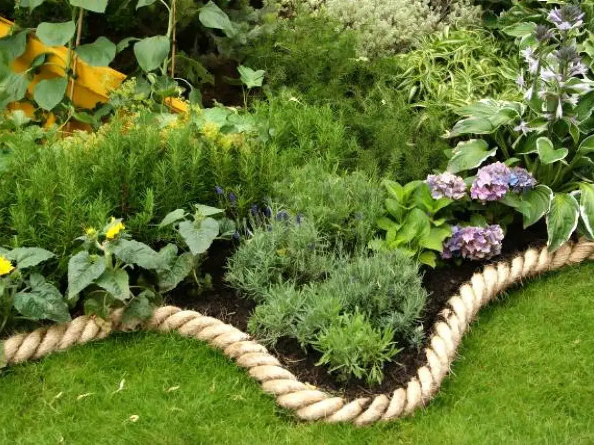 Piękny ogr&oacute;d z lawendą, hortensjami i rozmarynem. Gruba lina tworzy naturalną obw&oacute;dkę rabaty, to tani pomysł na ogr&oacute;d.