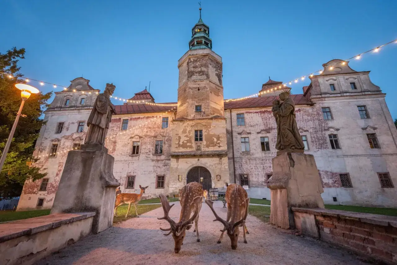 Niemodlin trasa: jelenie pasące się przed zamkiem o zmierzchu, ozdobionym girlandami świateł.