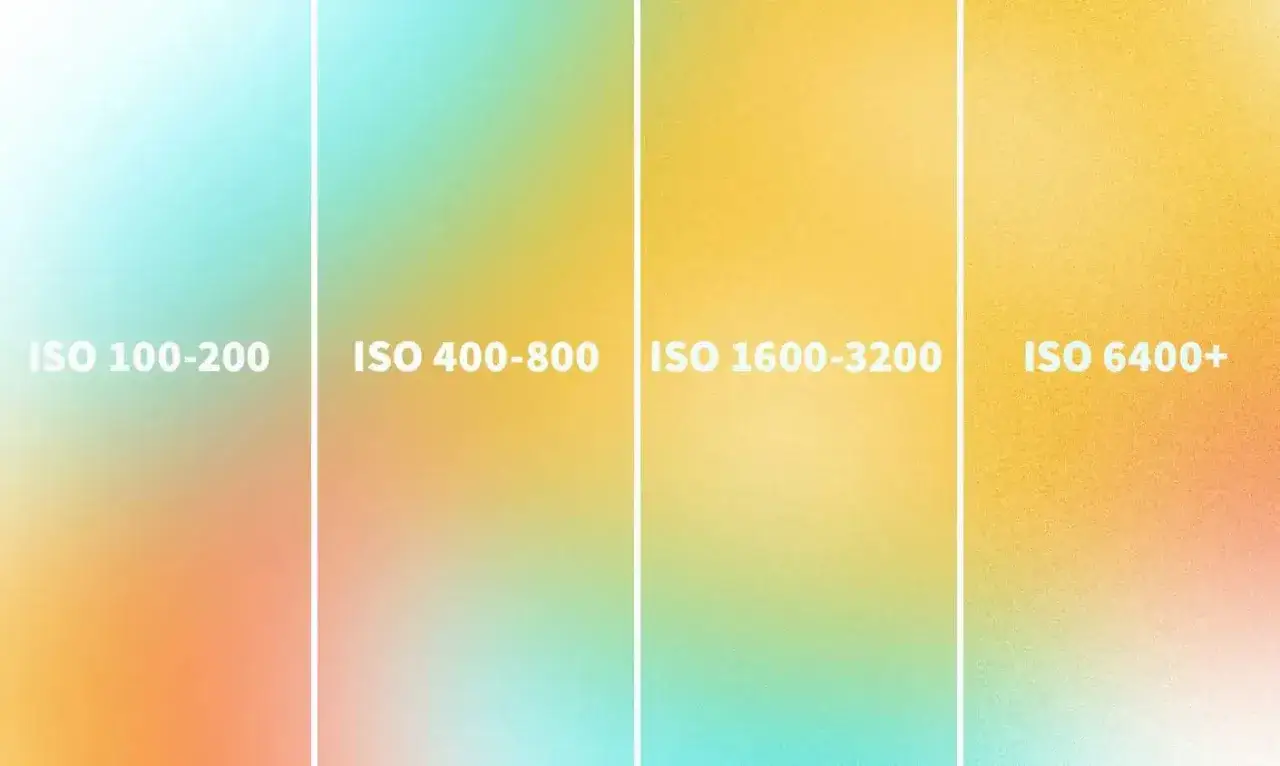 Gradienty kolor&oacute;w od jasnych do ciemnych, pokazujące czułość filmu. ISO 100-200, 400-800, 1600-3200, 6400+.