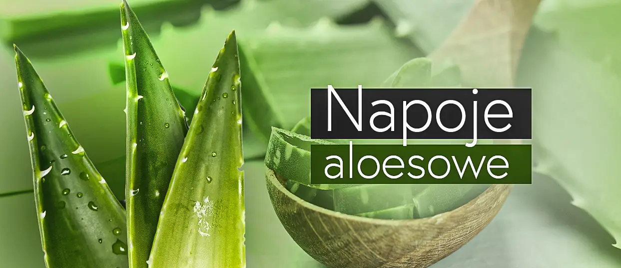 Aloes roślina i nap&oacute;j