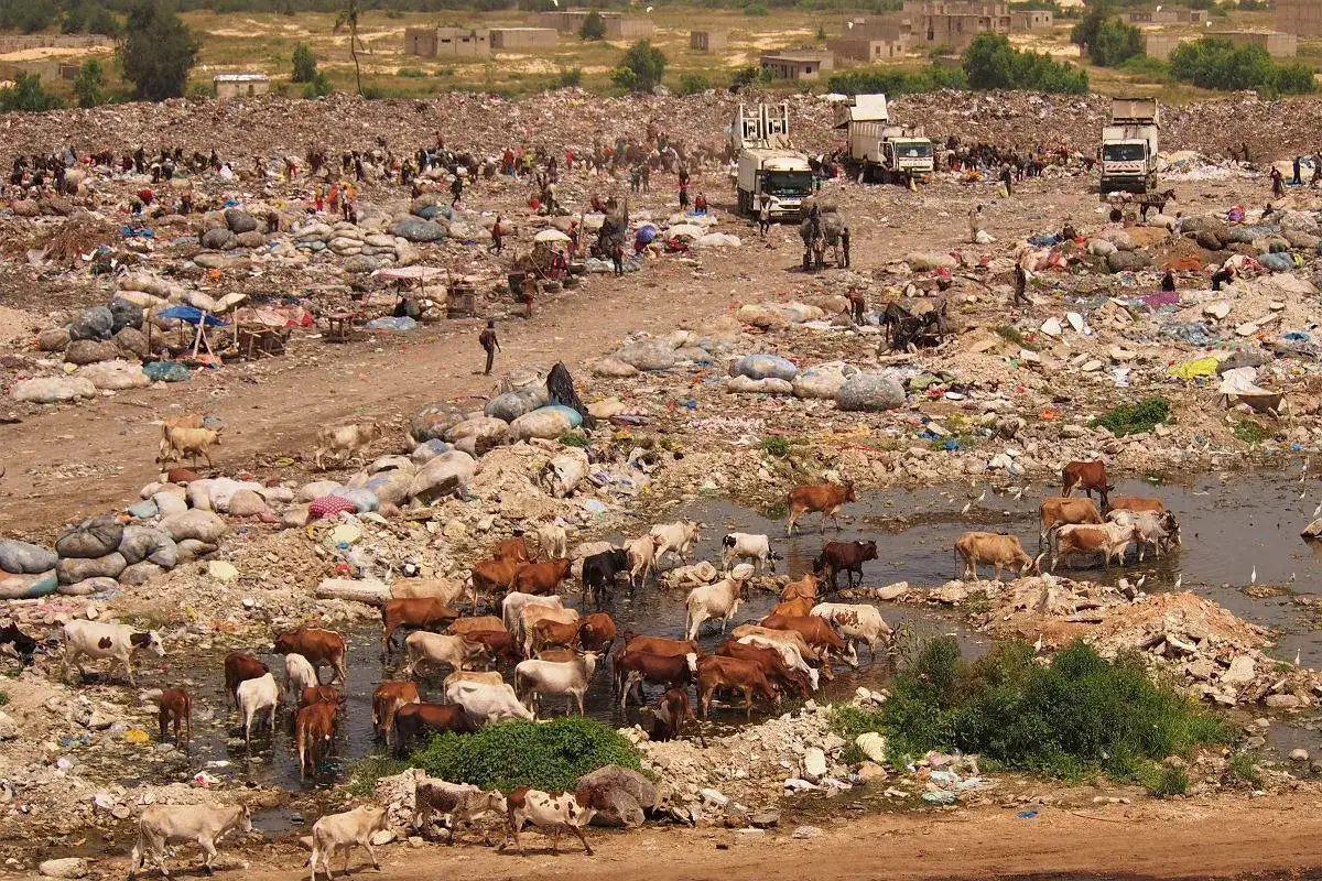 Góra śmieci, problem ekologiczny, globalne zanieczyszczenie
