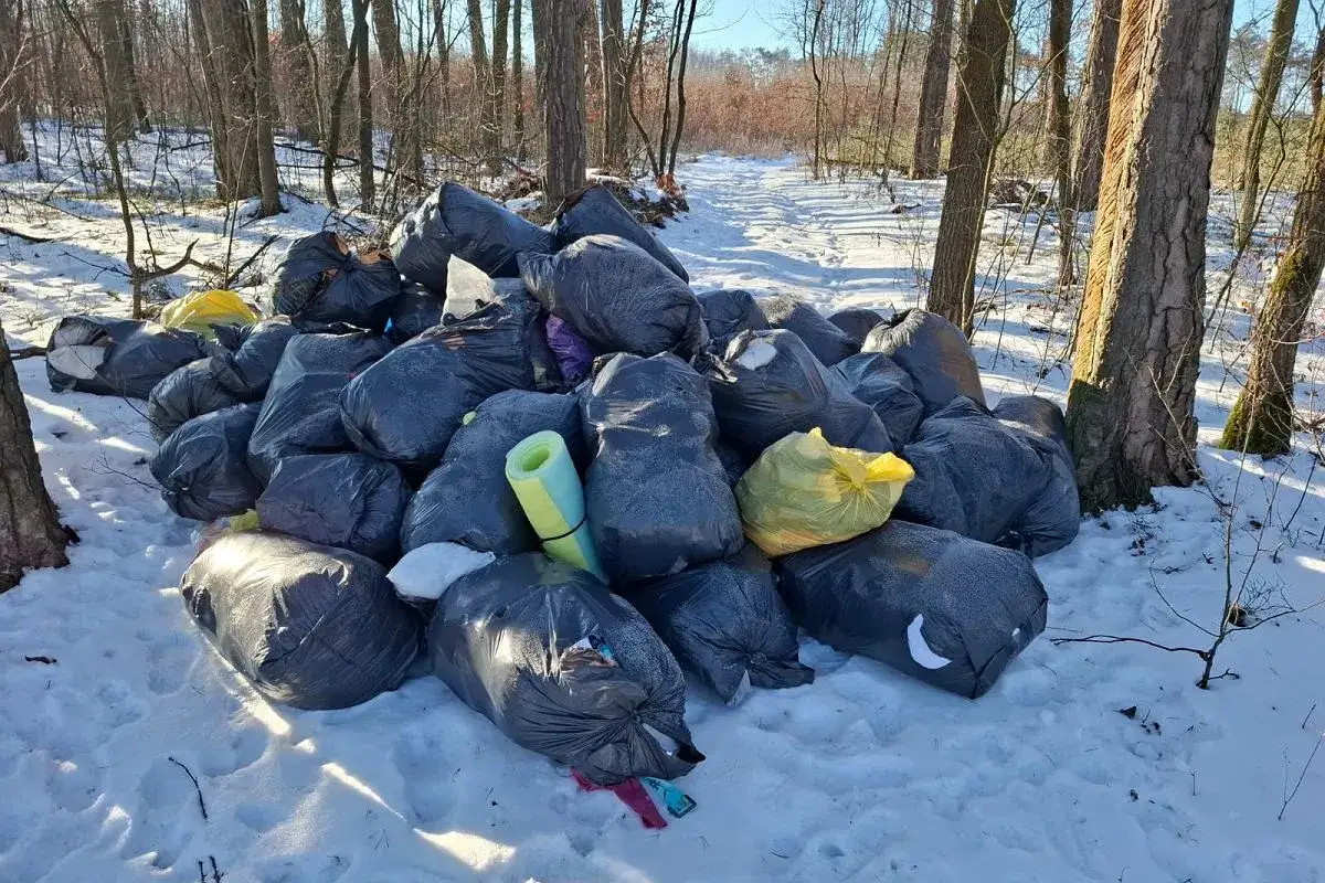 Nielegalne wysypisko śmieci w lesie, mandat za zaśmiecanie