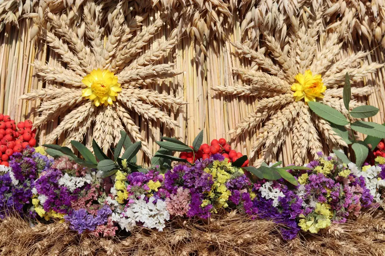 Jak zrobić kwiaty do wieńca dożynkowego? Zobacz, jak pięknie wyglądają kłosy zbóż, czerwone jarzębiny i kolorowe kwiaty.