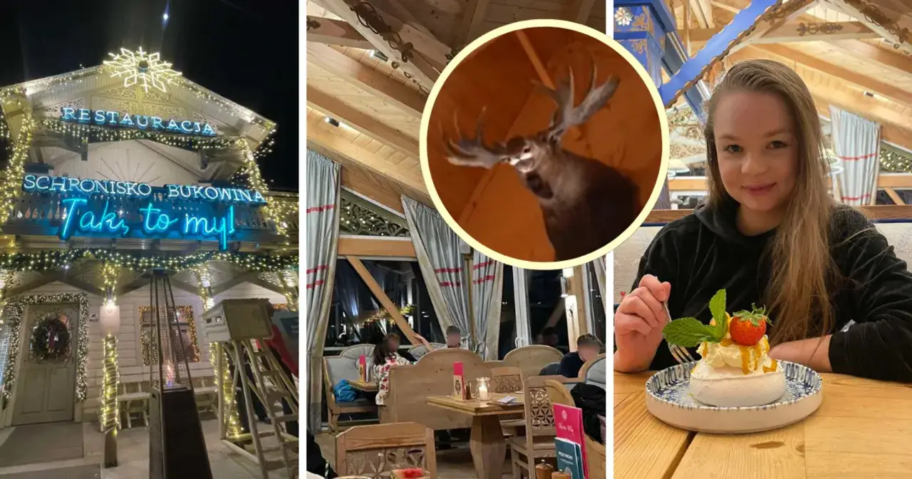 Schronisko Smak&oacute;w Bukowina: menu z g&oacute;ralskim klimatem i wypchanym łosiem. Smaczny deser czeka!