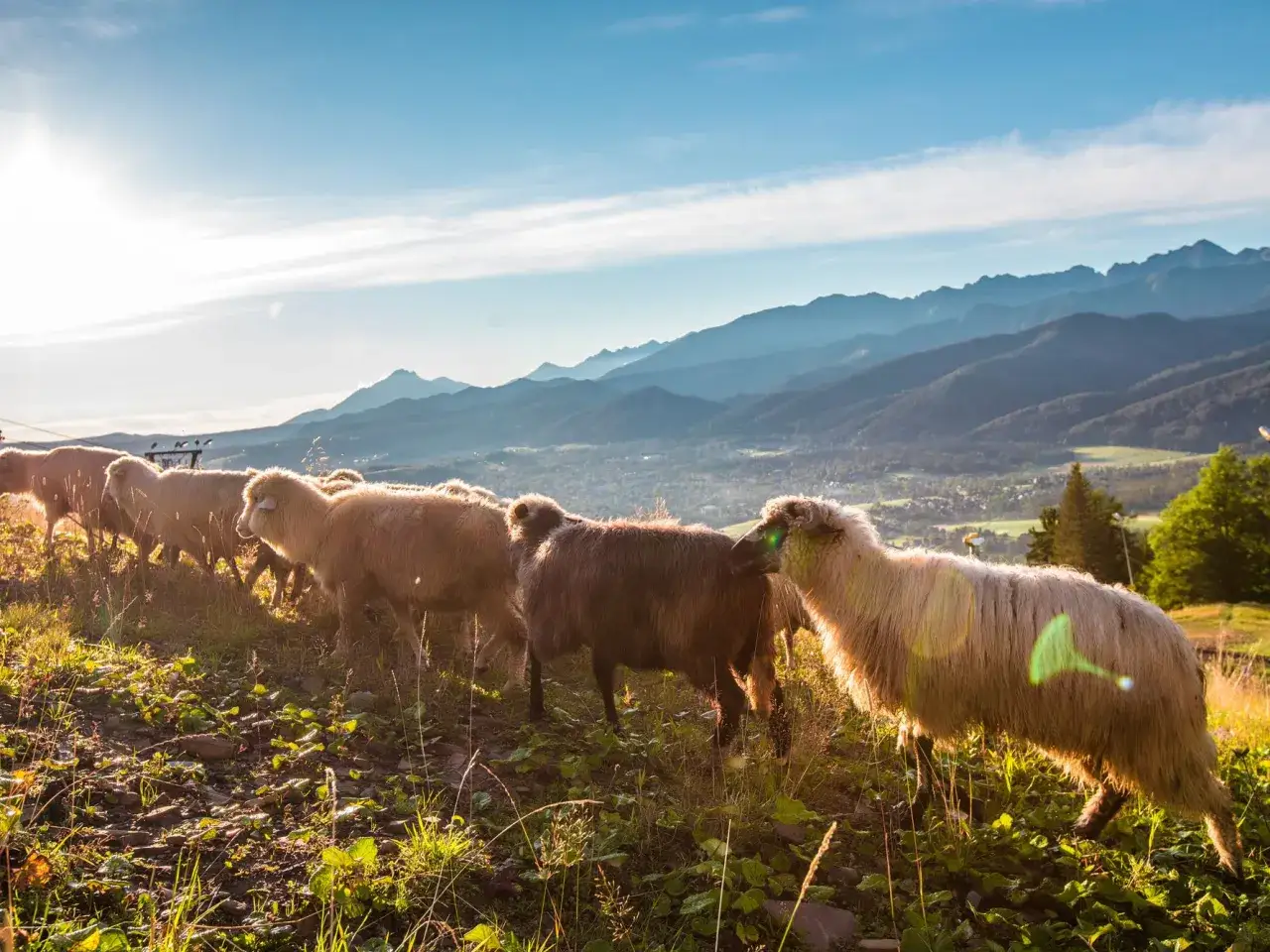 Zdjęcie Co zwiedzić w Tatrach: najpiękniejsze miejsca, które musisz zobaczyć