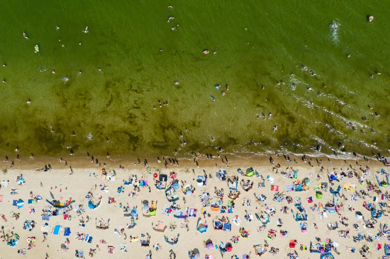 Zdjęcie Jak wyglądają sinice w Bałtyku i jak ich unikać podczas kąpieli