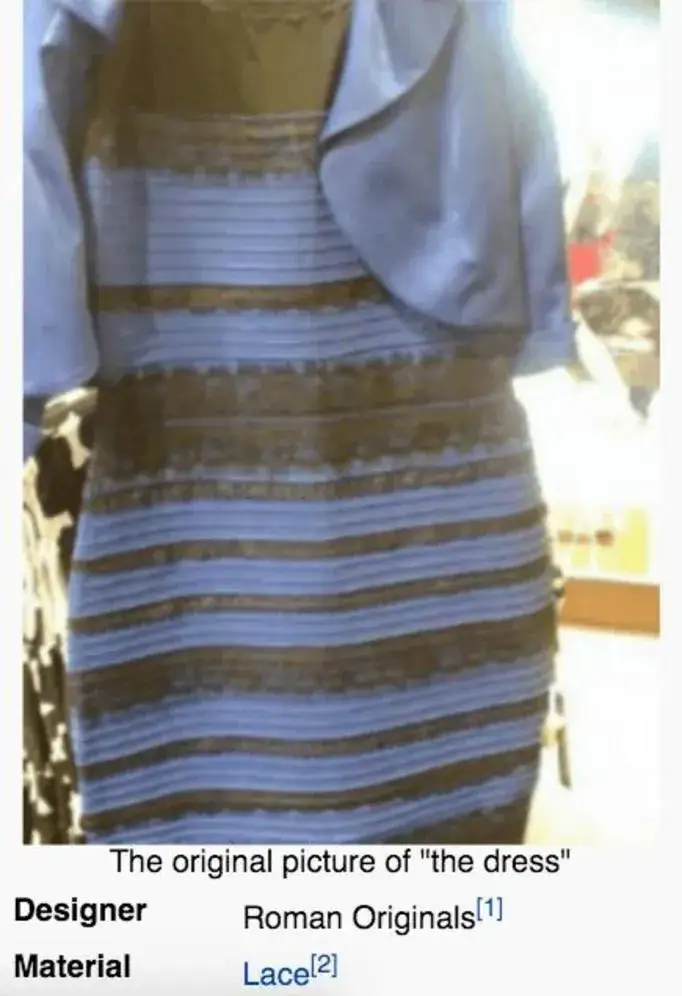 Zdjęcie Jaki kolor ma ta bluza? Zaskakujące różnice w percepcji kolorów