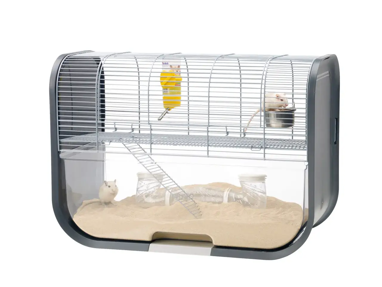 Zdjęcie Jaką klatkę dla myszoskoczka wybrać, aby zapewnić mu komfort i bezpieczeństwo?