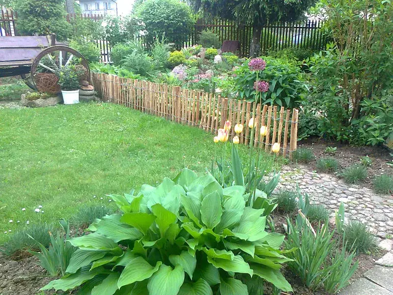 Zdjęcie Jak zrobić płot leszczynowy – prosty sposób na piękne ogrodzenie