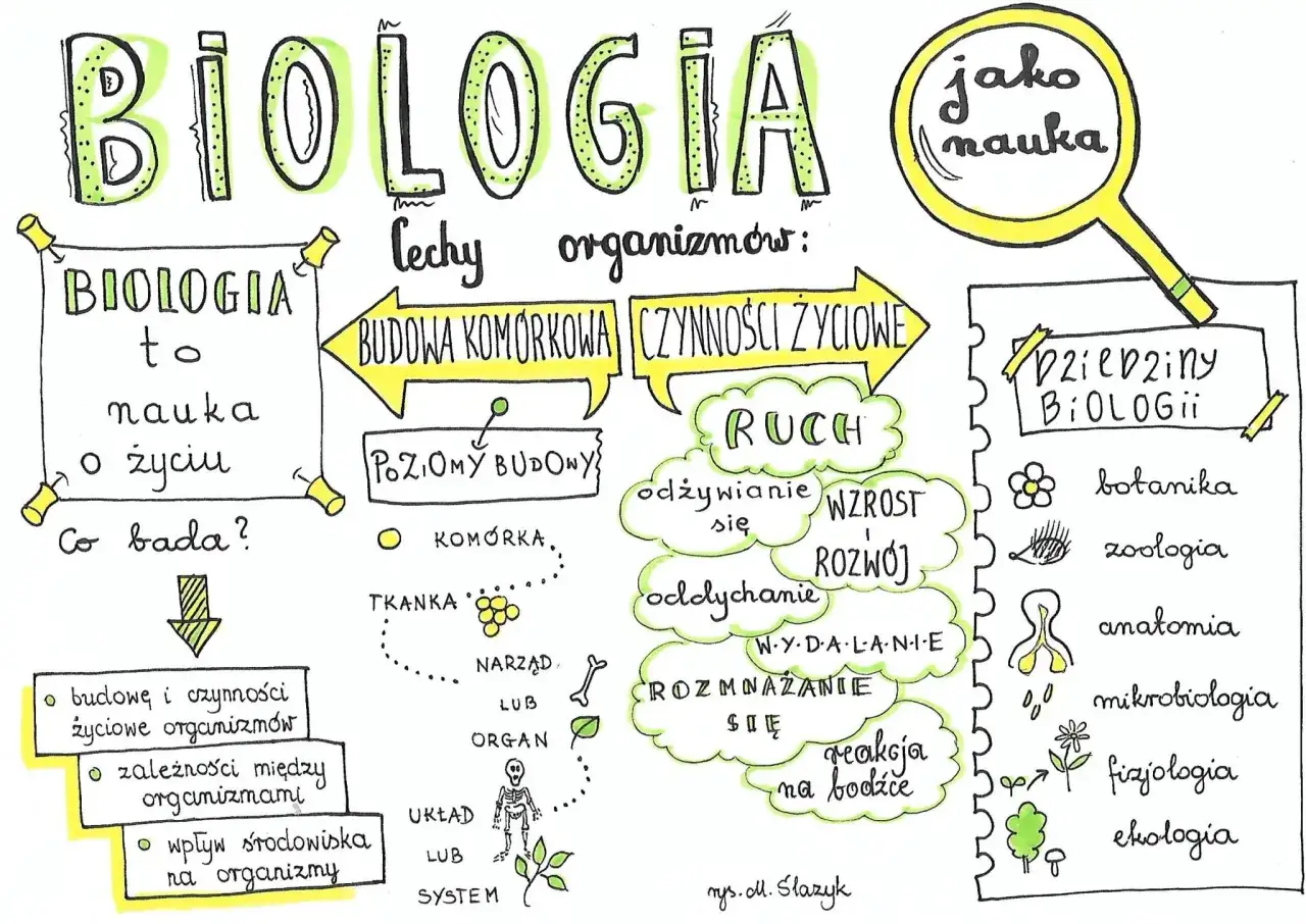 Zdjęcie Czy biologia to nauka ścisła? Wyjaśniamy, dlaczego to ważne pytanie