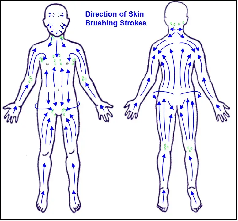 schemat kierunków szczotkowania ciała na sucho