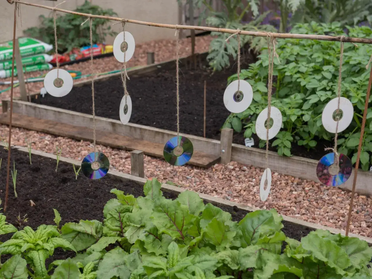 Płyty CD odstraszające ptaki na balkonie