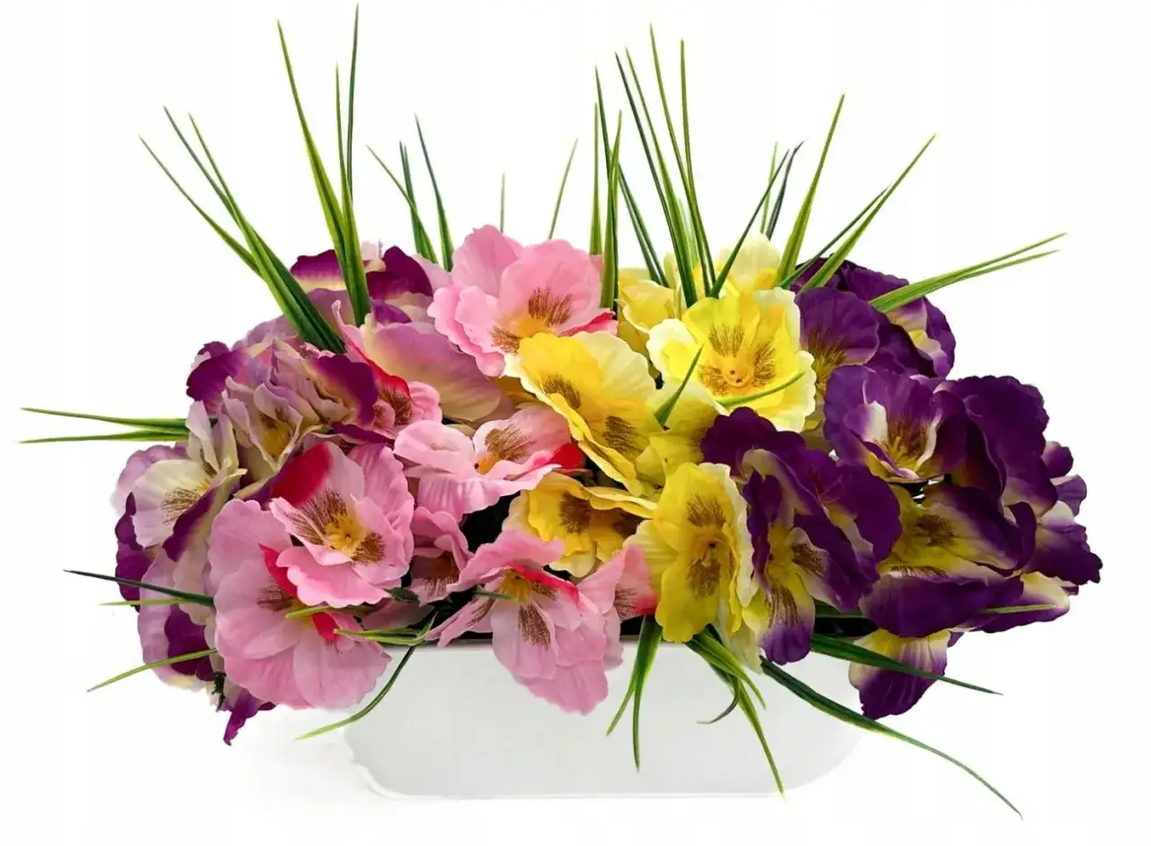 r&oacute;żnokolorowe bratki w doniczce