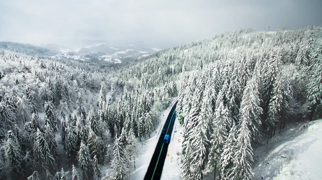 Zimowa droga przez zaśnieżony las w Beskidach. W oddali widać zabudowania, a nad nimi mgliste pasmo g&oacute;rskie.