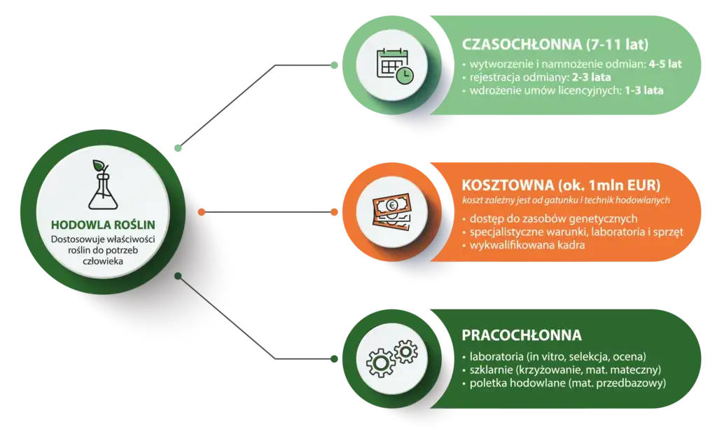 Zdjęcie Co to jest hodowla i jak wpływa na przyszłość rolnictwa?