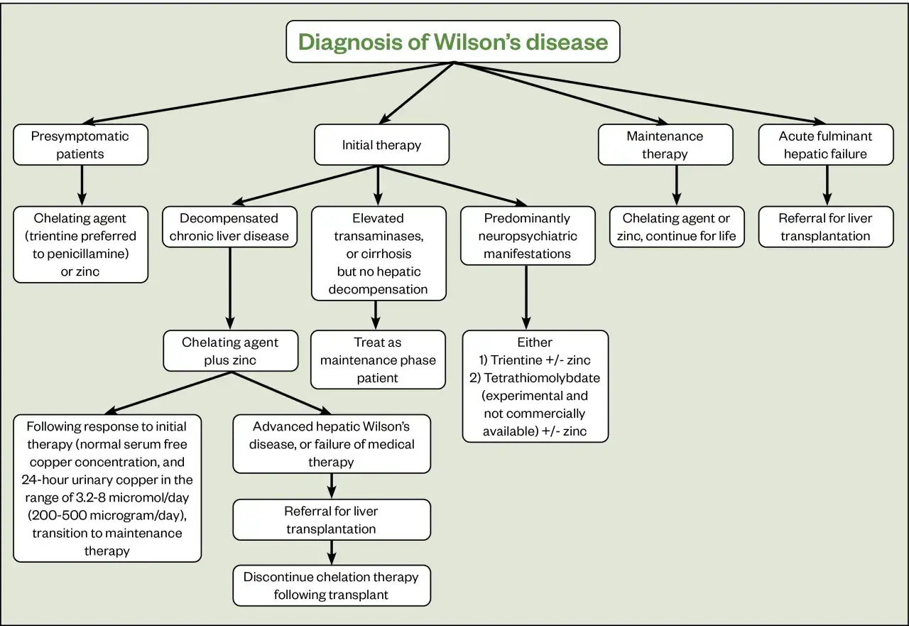 Schemat diagnostyki i leczenia choroby Wilsona, obejmujący r&oacute;żne stadia i terapie, w tym leki chelatujące i przeszczep wątroby.
