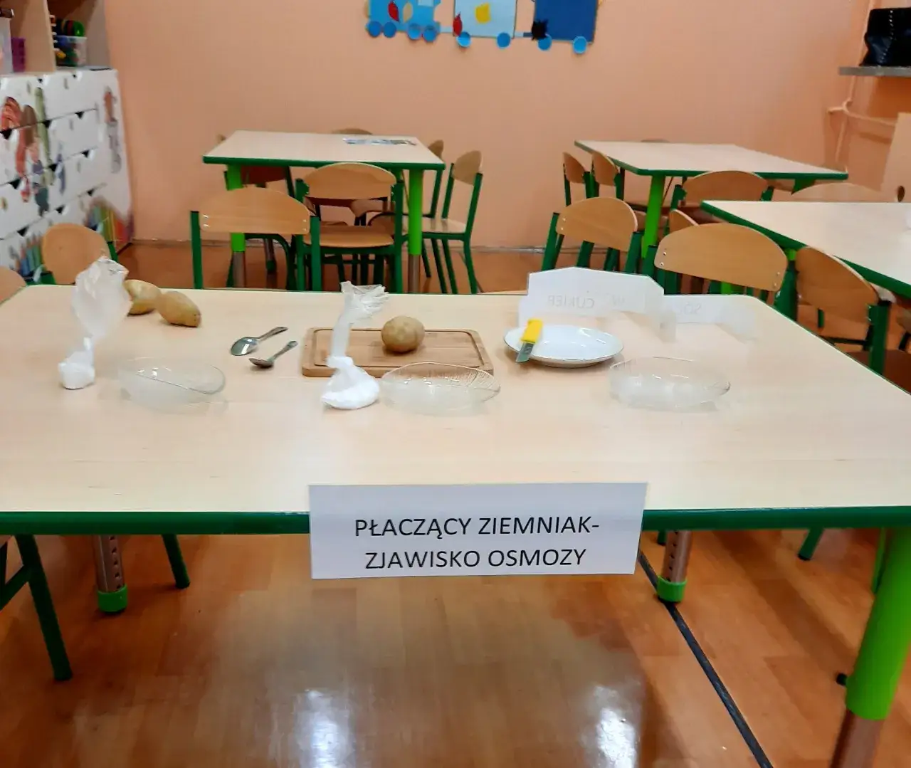eksperyment płaczący ziemniak osmoza
