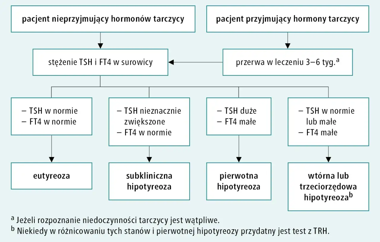 Schemat diagnostyki niedoczynności tarczycy: badanie TSH i FT4 u pacjent&oacute;w nieprzyjmujących i przyjmujących hormony. Pomaga określić jak leczyć niedoczynność tarczycy.