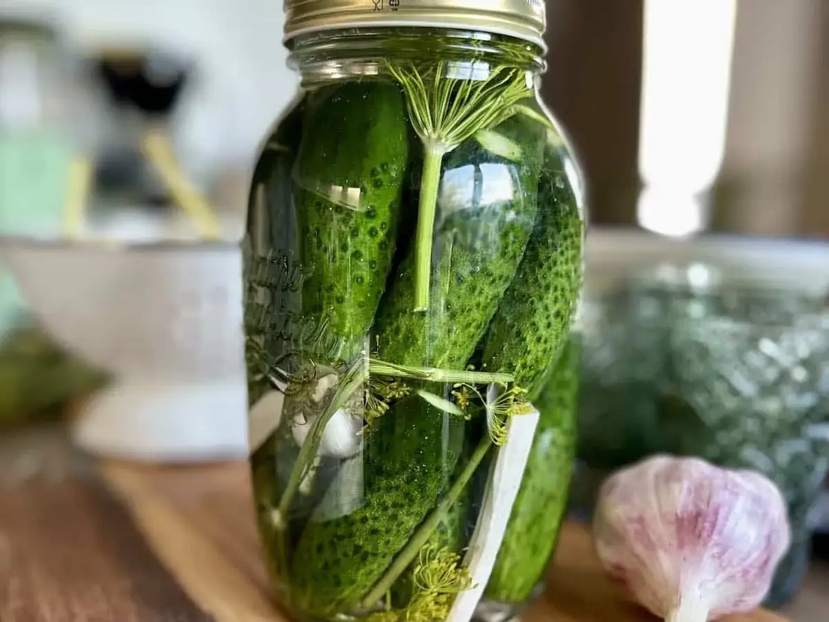 Słoik pełen og&oacute;rk&oacute;w małosolnych, czosnek i koperek. Idealny przepis na lato!