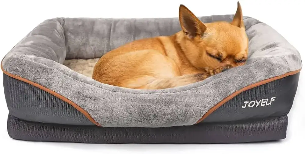 pies senior na legowisku ortopedycznym z pianki memory foam