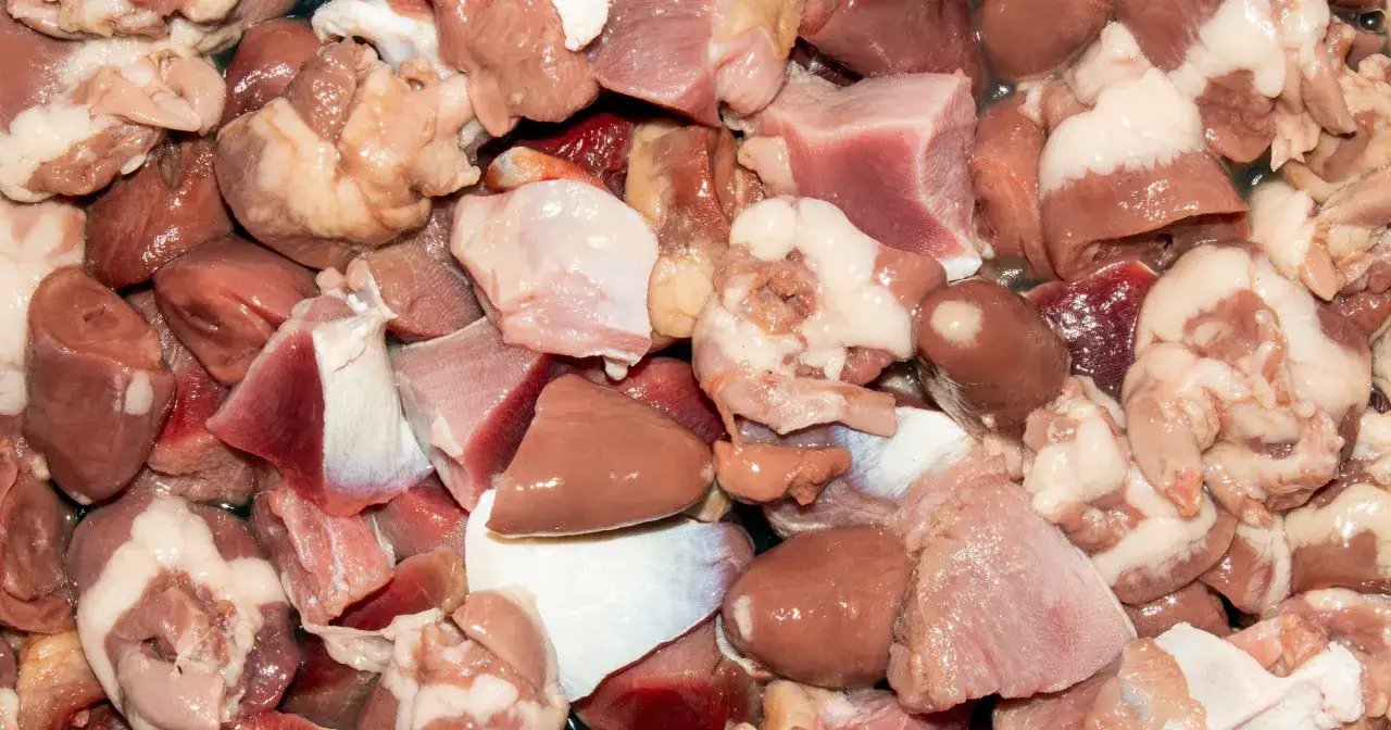 Surowe żołądki z kurczaka i inne podroby. Czy żołądki z kurczaka są zdrowe? Tak, są bogate w białko i żelazo.
