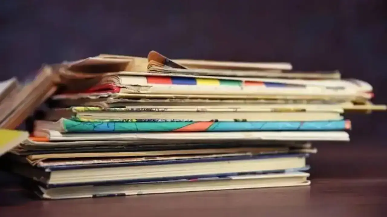 Kariera po kulturoznawstwie