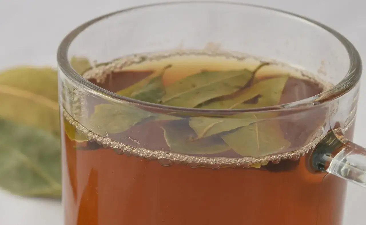 Zdjęcie Jak prawidłowo przygotować herbatę z liści laurowych: prosty przepis krok po kroku