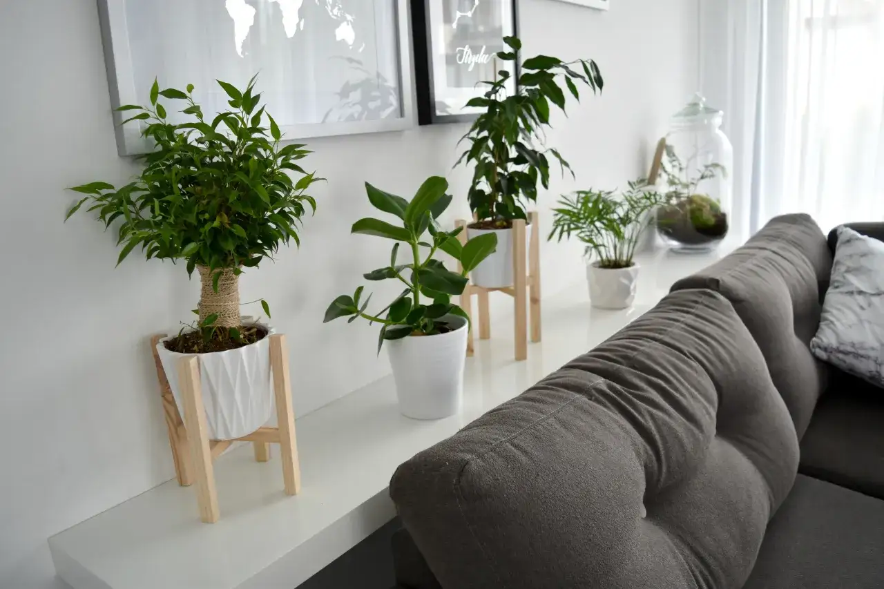 DIY dekoracje do domu, proste pomysły