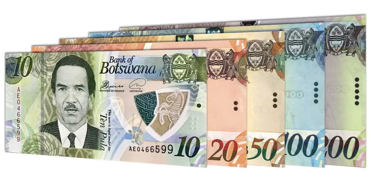 R&oacute;żne banknoty, w tym 10, 20, 50 i 100, stanowią walutę Botswany. Na pierwszym planie widać portret mężczyzny i godło.