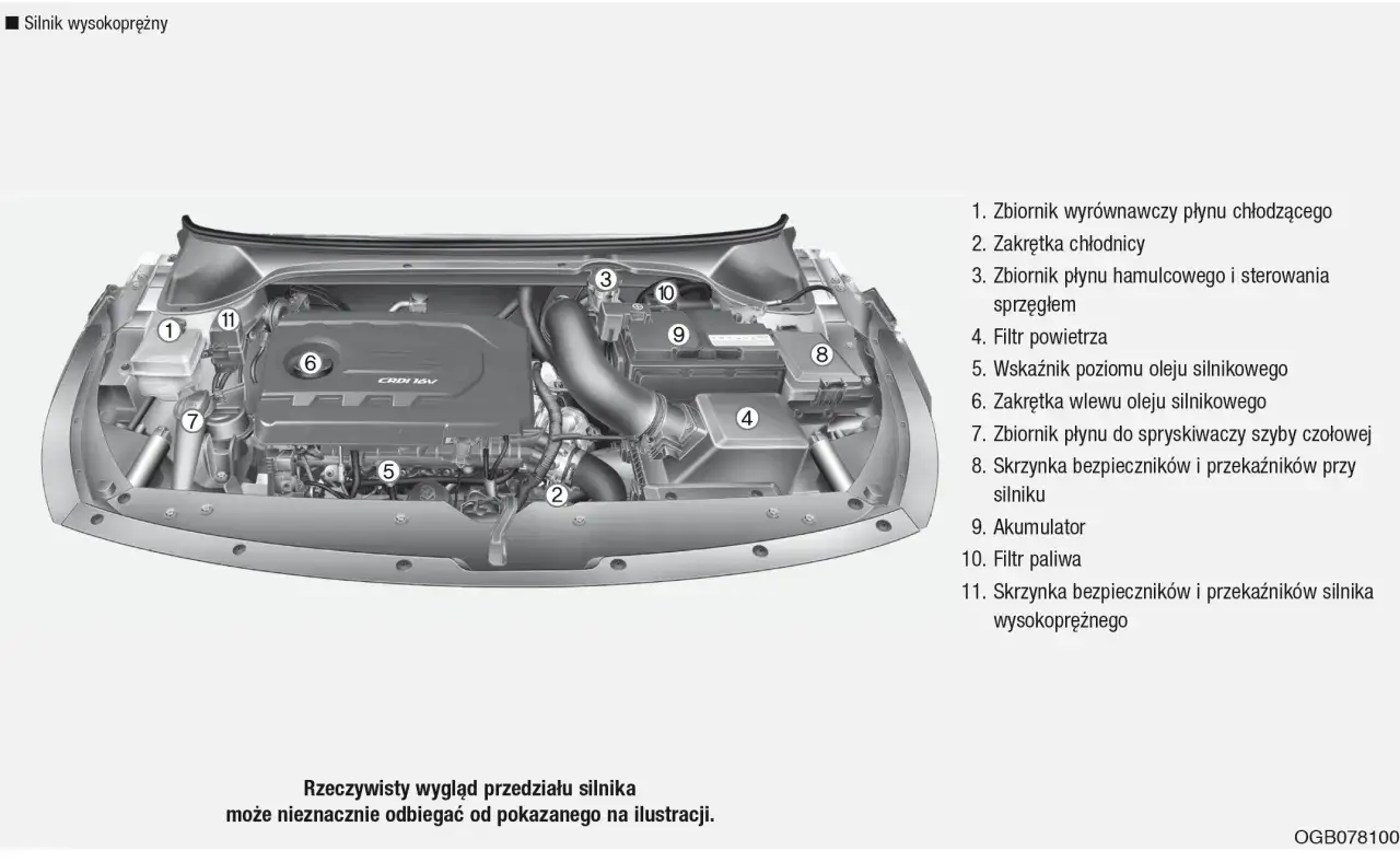 Lokalizacja filtra oleju Hyundai i30 1.6 CRDi