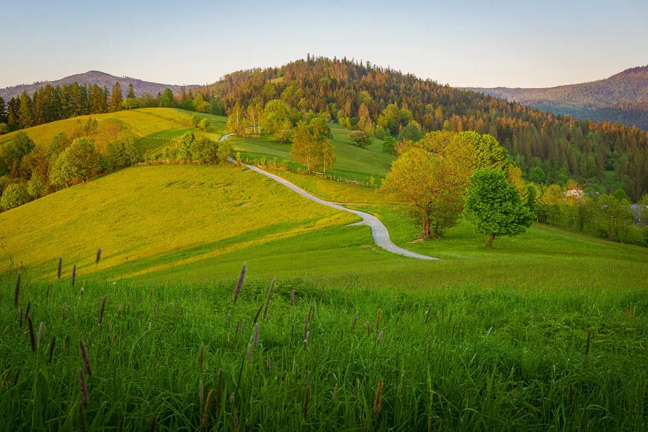 Ustroń panorama z gór