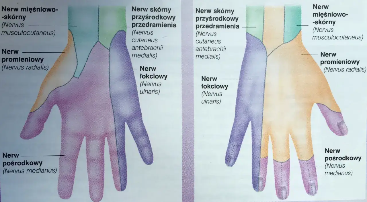 Drętwienie rąk w nocy