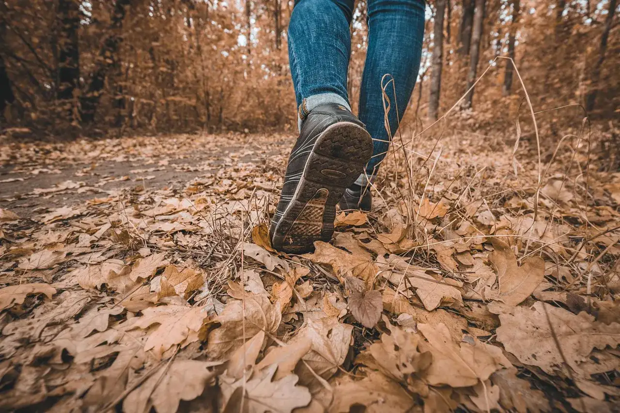osoba spacerująca lasem endorfiny