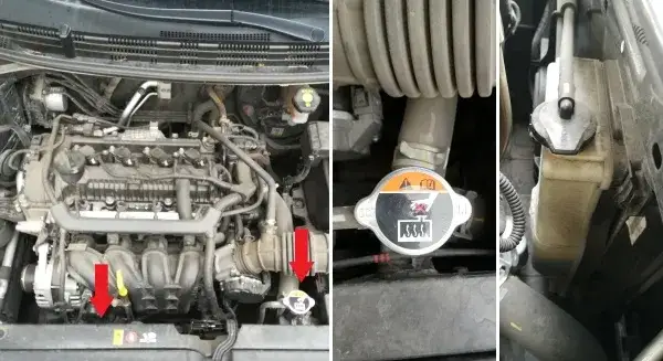 Zdjęcie Jak dbać o płyny w Kia Rio? Poradnik dla każdego kierowcy