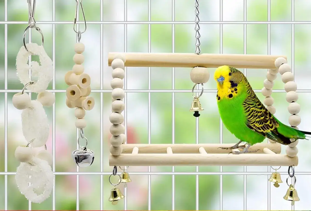 Zabawki dla papugi falistej: drewniane koraliki, dzwoneczki i gryzaki. Idealne wyposażenie klatki.