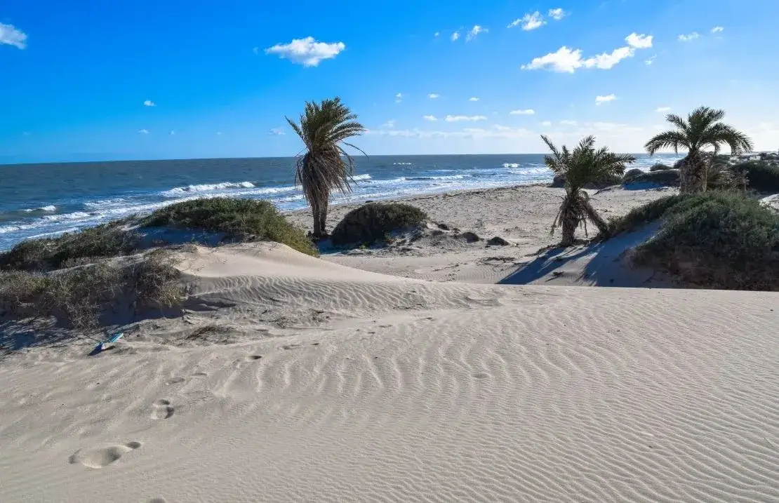 Zdjęcie Czy w Tunezji jest bezpiecznie na wakacje? Oto, co musisz wiedzieć