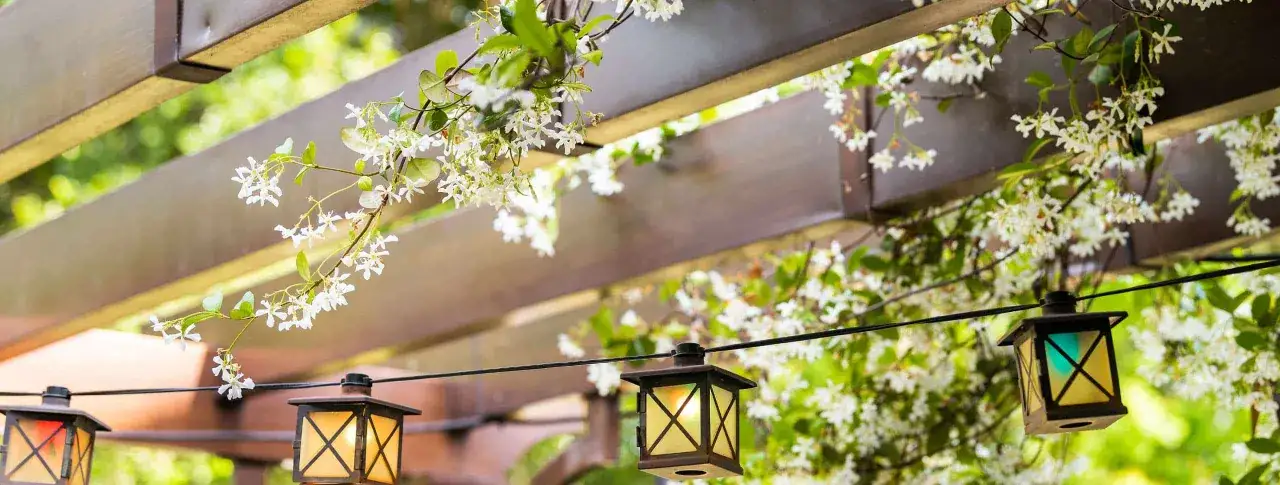 Zdjęcie Jak zrobić pergolę na róże – krok po kroku, aby uniknąć błędów