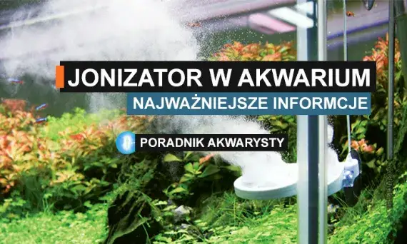 Zdjęcie Jonizator do akwarium czy warto? Odkryj prawdę o jego skuteczności
