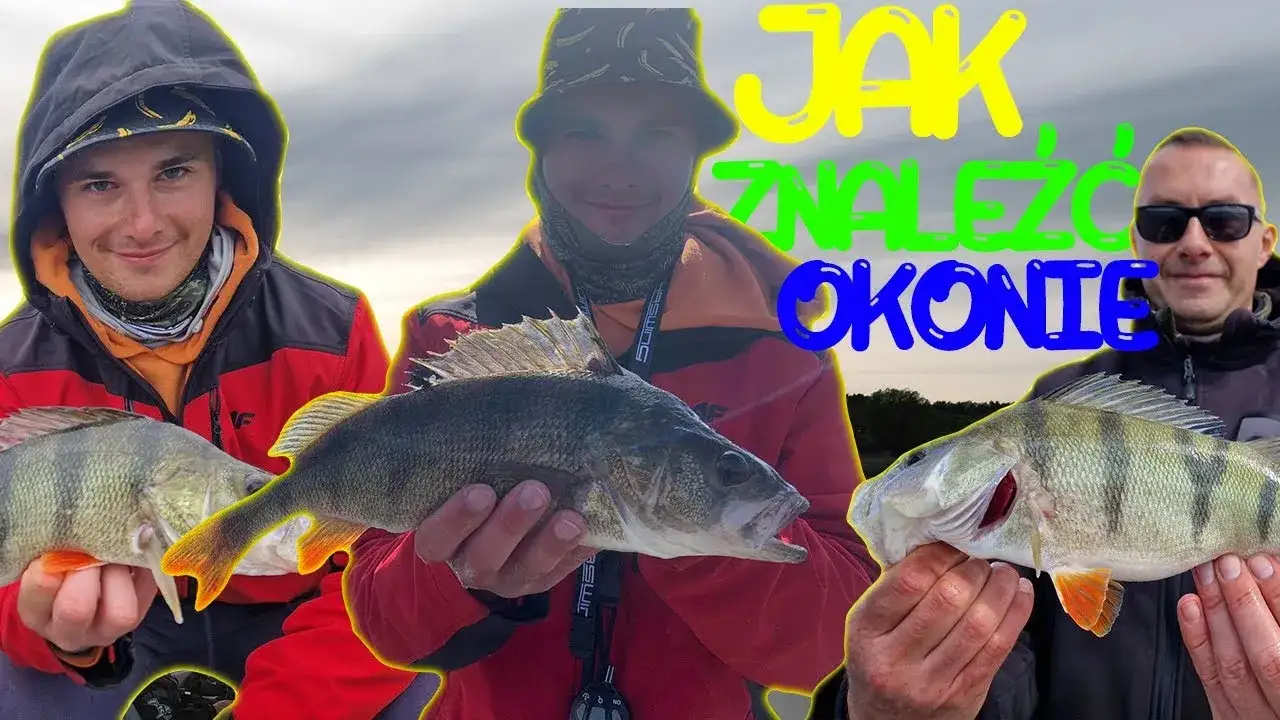 Zdjęcie Kiedy sezon na okonia? Poznaj najlepsze miesiące i techniki łowienia