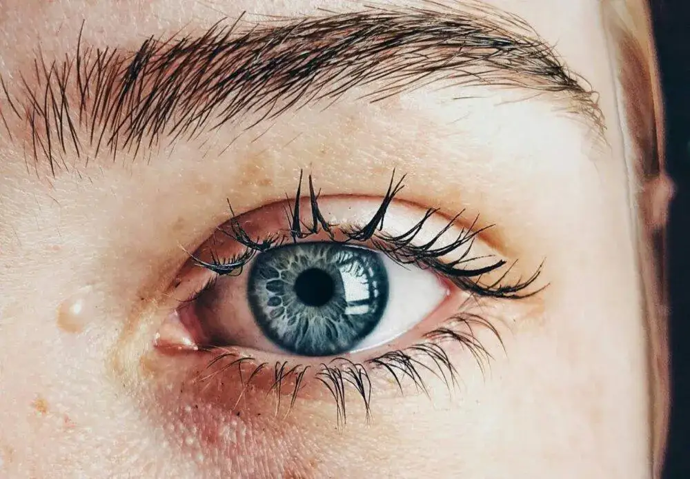 Zdjęcie Jakie rzęsy do kształtu oka? Odkryj idealne dopasowanie dla siebie