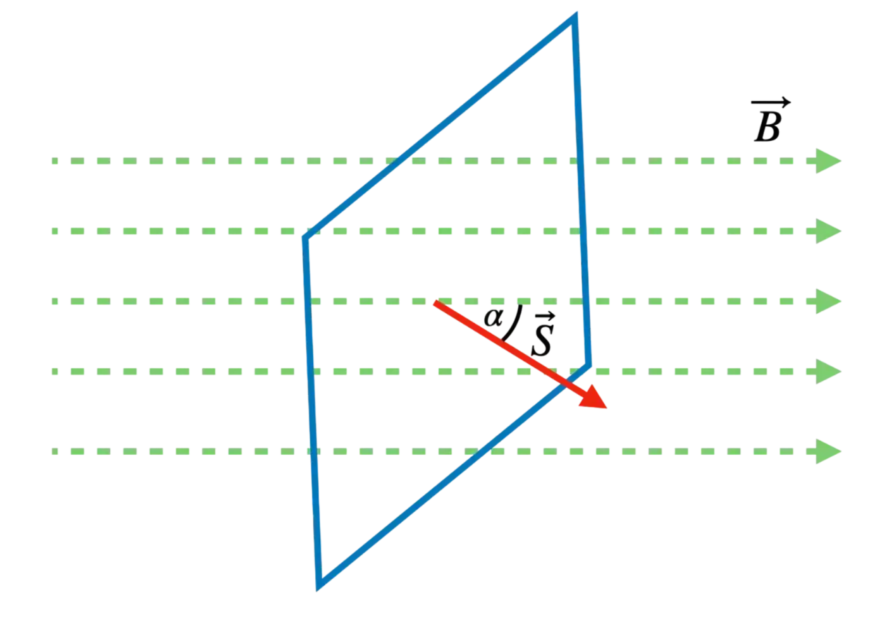 Pole magnetyczne (B) przenika prostokątną ramkę. Wektor S i kąt α pokazują orientację ramki względem pola, ilustrując co to jest indukcja elektryczna.