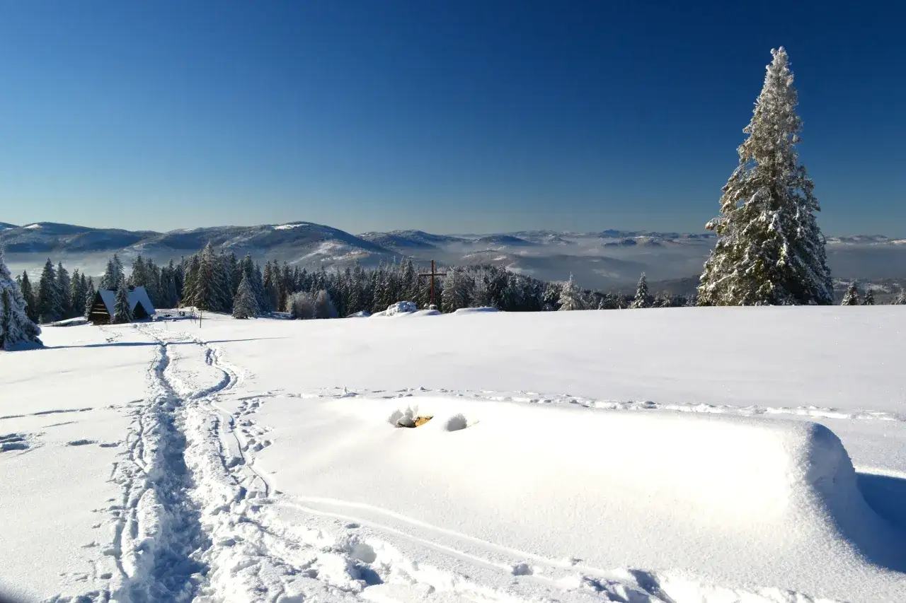 Zimowy krajobraz z bac&oacute;wką na Krawc&oacute;w Wierch. Śnieżne ślady prowadzą do drewnianego szałasu, a w oddali widać g&oacute;ry.