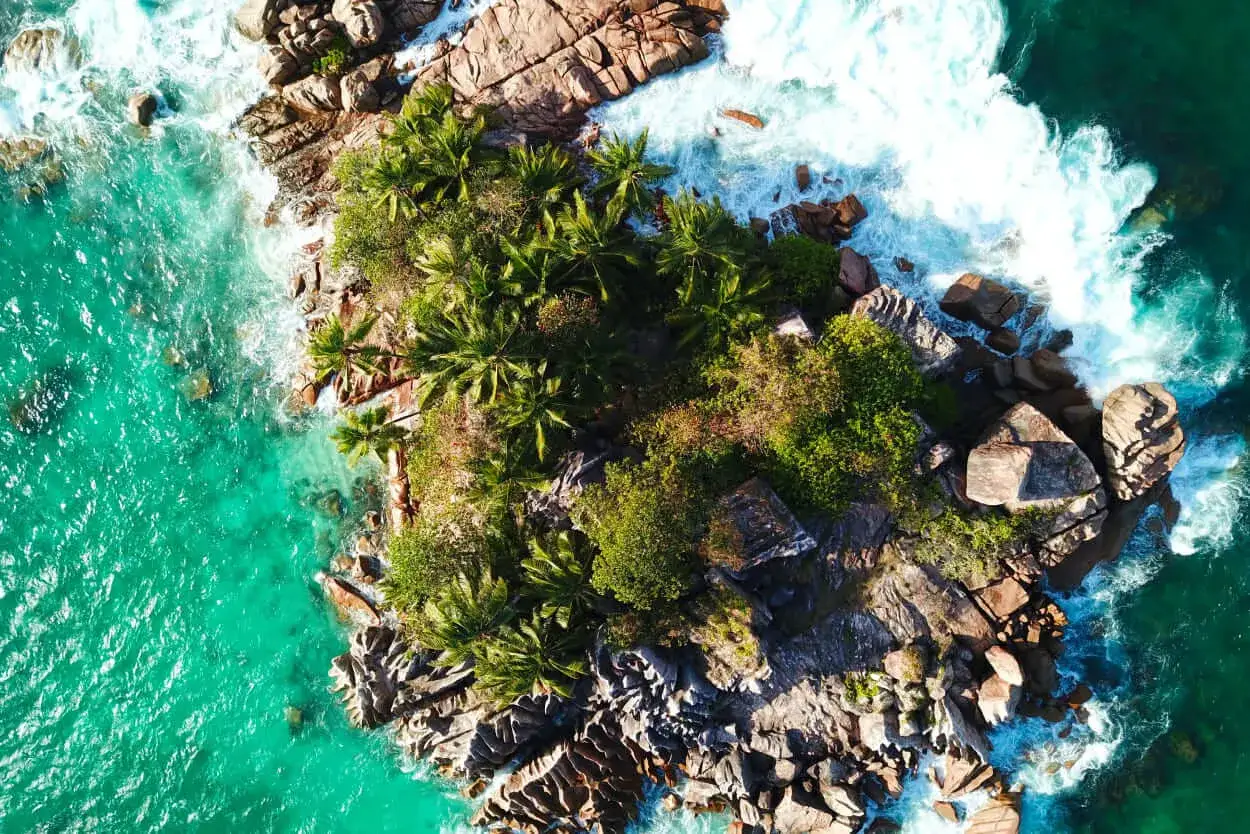 Rajska wyspa na Seszelach, z palmami i turkusową wodą. Marzysz o podr&oacute;ży? Sprawdź, ile trwa lot!