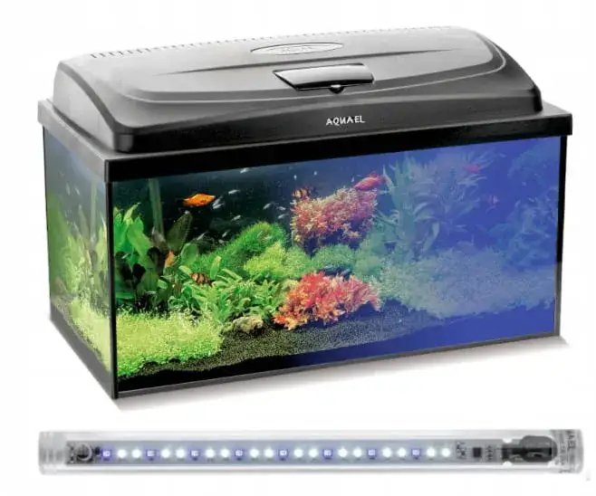 akwarium z oświetleniem LED i pokrywą