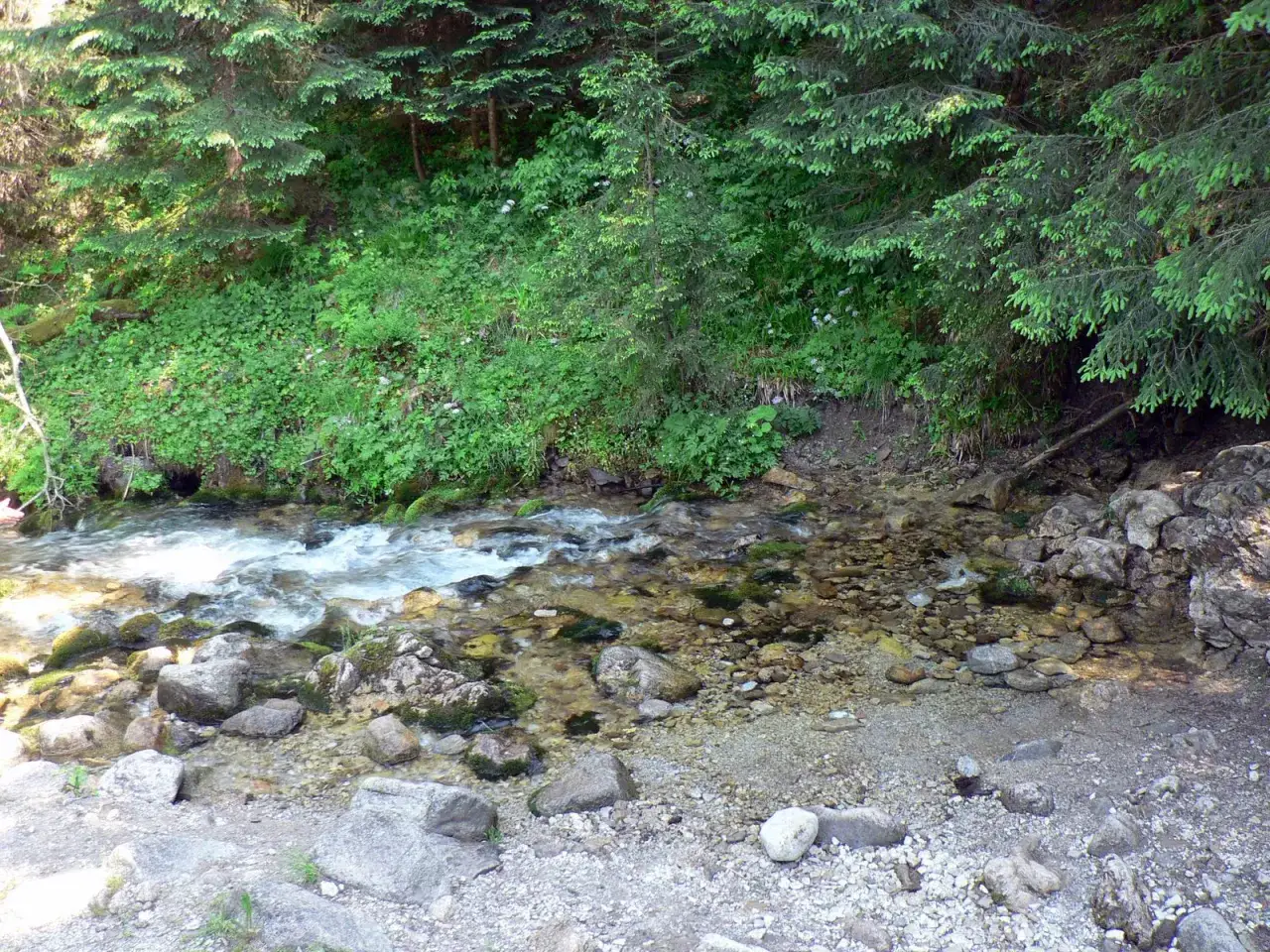 Wywierzysko Olczyskie Tatry