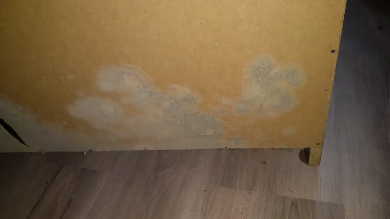 Plamy pleśni na meblach, prawdopodobnie z powodu wilgoci. Widoczne szaro-białe naloty na płycie meblowej.