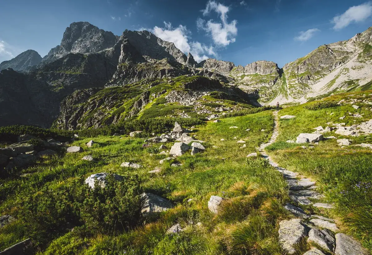 Kamienista ścieżka prowadzi przez zielone zbocza ku g&oacute;rskim szczytom. W oddali widać samotnego turystę, kt&oacute;ry zmierza w stronę Wr&oacute;t Chałubińskiego.
