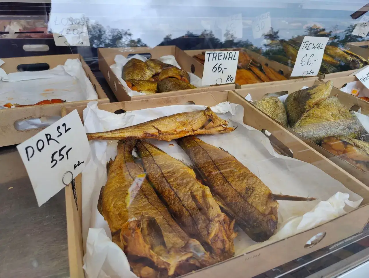 Świeże ryby Krynica Morska / Lokalny targ rybny Krynica Morska