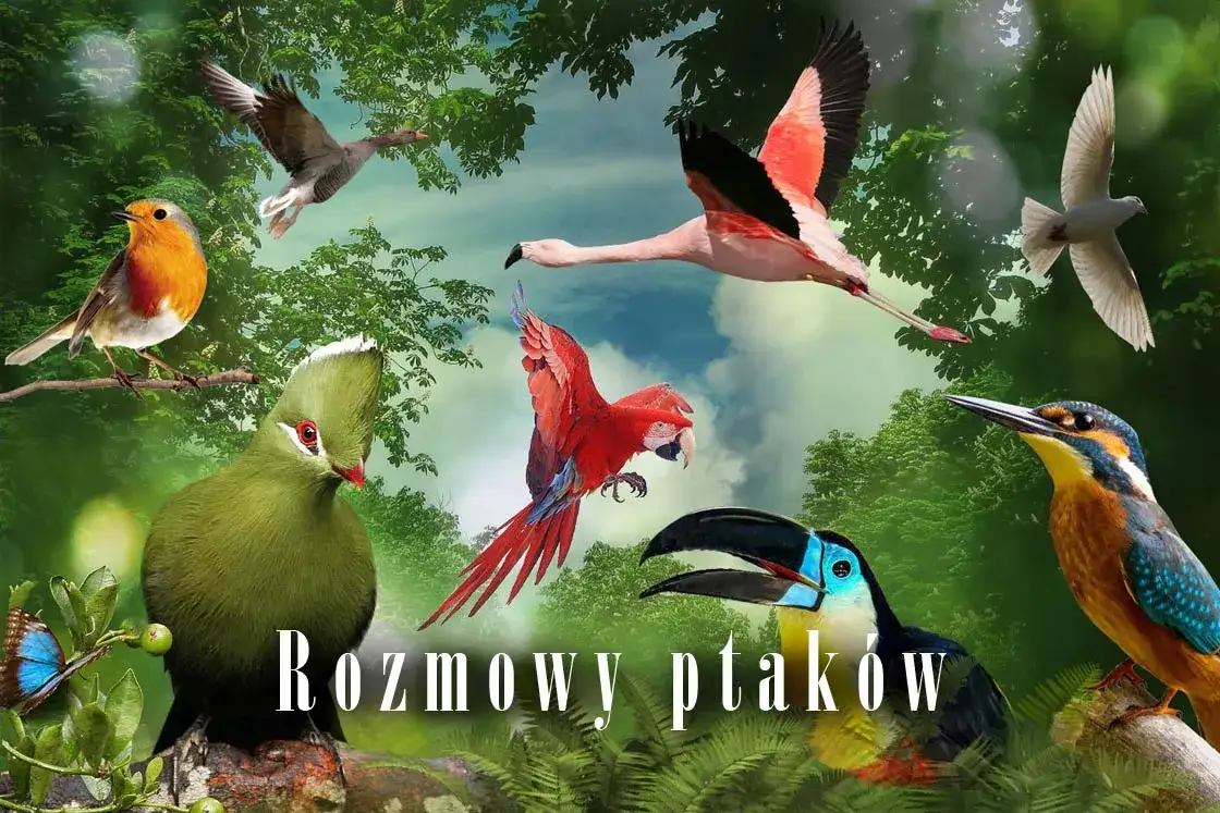 r&oacute;żnorodność ptak&oacute;w na świecie