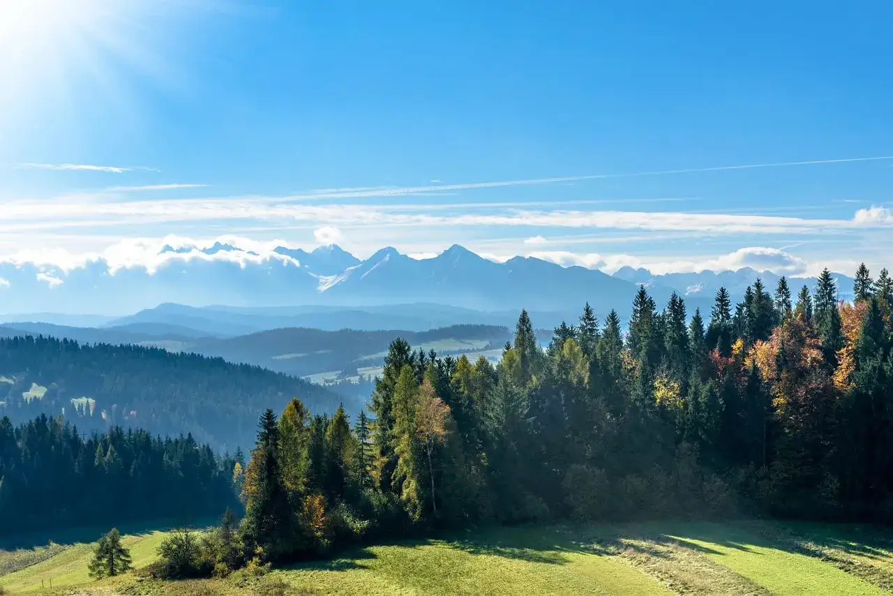 Malowniczy widok na Tatry z lasem i polami, idealne miejsce na odkrywanie zakopane atrakcje.